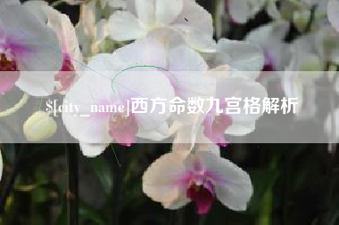 库尔勒西方命数九宫格解析