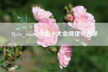 库尔勒中国十大金牌律师名单