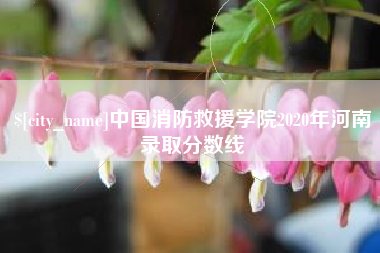库尔勒中国消防救援学院2020年河南录取分数线