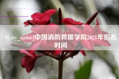 库尔勒中国消防救援学院2021年报名时间