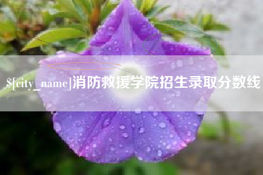 库尔勒消防救援学院招生录取分数线