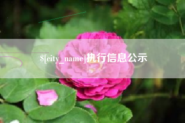 库尔勒执行信息公示