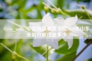 库尔勒中国消防救援学院2021年山东录取分数线是多少