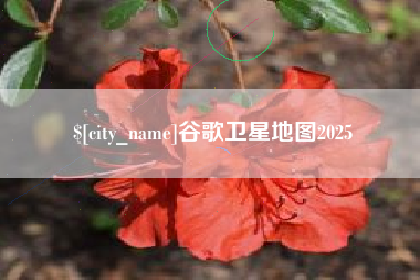 库尔勒谷歌卫星地图2025