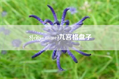 库尔勒九宫格盘子