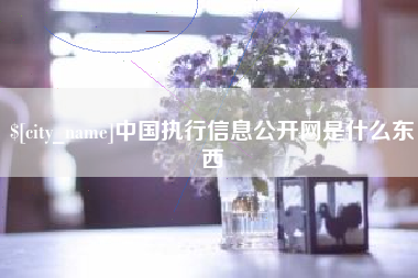 库尔勒中国执行信息公开网是什么东西