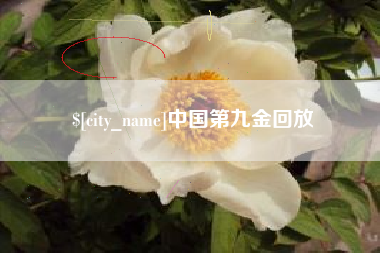库尔勒中国第九金回放