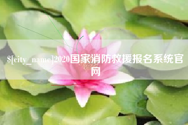 库尔勒2020国家消防救援报名系统官网