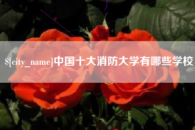库尔勒中国十大消防大学有哪些学校