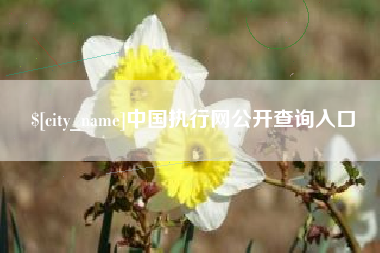 库尔勒中国执行网公开查询入口