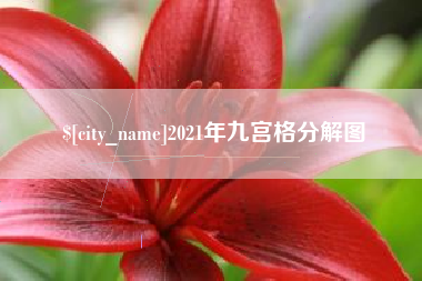 库尔勒2021年九宫格分解图