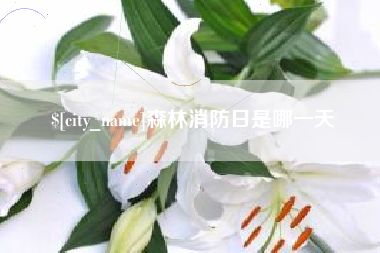 库尔勒森林消防日是哪一天