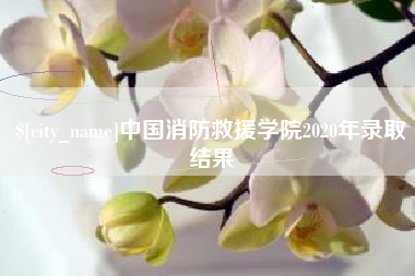 库尔勒中国消防救援学院2020年录取结果