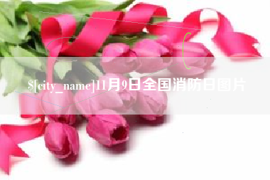 库尔勒11月9日全国消防日图片