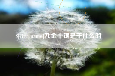 库尔勒九金十银是干什么的
