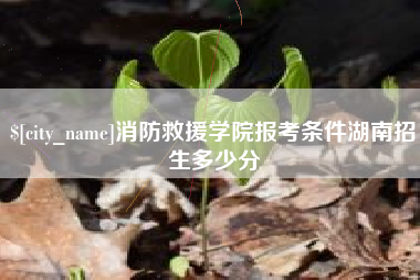 库尔勒消防救援学院报考条件湖南招生多少分