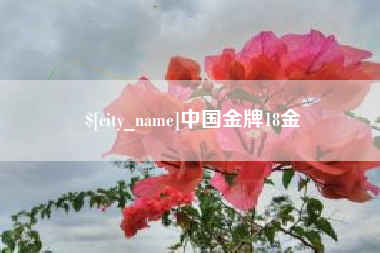 库尔勒中国金牌18金