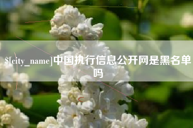 库尔勒中国执行信息公开网是黑名单吗