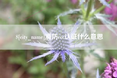 库尔勒消防ccc认证什么意思