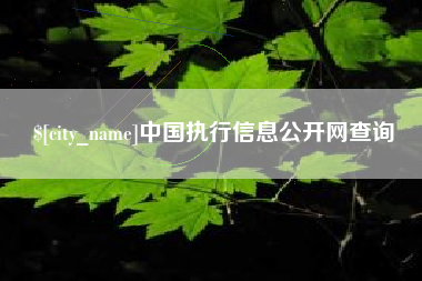 库尔勒中国执行信息公开网查询