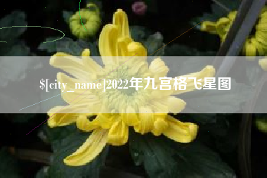 库尔勒2022年九宫格飞星图