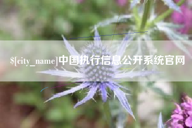 库尔勒中国执行信息公开系统官网