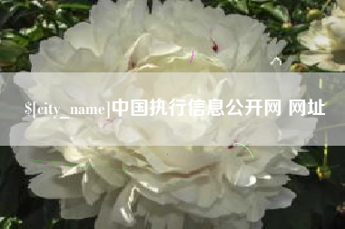 库尔勒中国执行信息公开网 网址