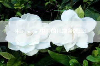 库尔勒中国的几块金牌2021