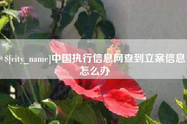 库尔勒中国执行信息网查到立案信息怎么办