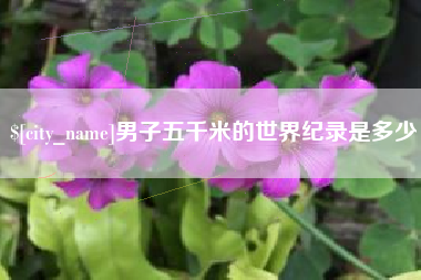 库尔勒男子五千米的世界纪录是多少
