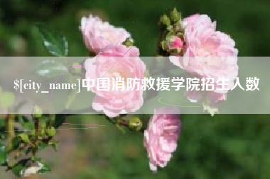 库尔勒中国消防救援学院招生人数