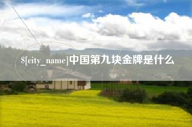 库尔勒中国第九块金牌是什么