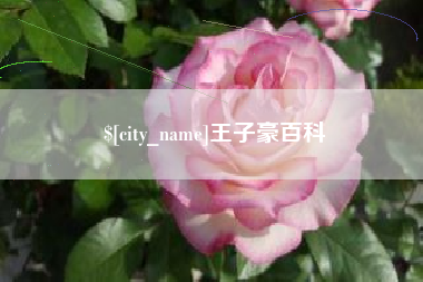 库尔勒王子豪百科