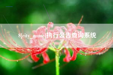 库尔勒执行公告查询系统