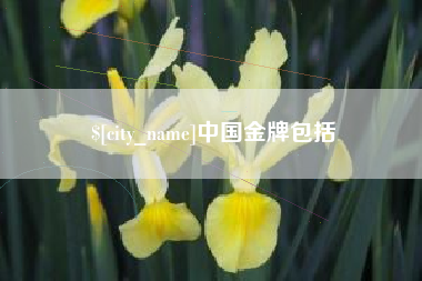 库尔勒中国金牌包括
