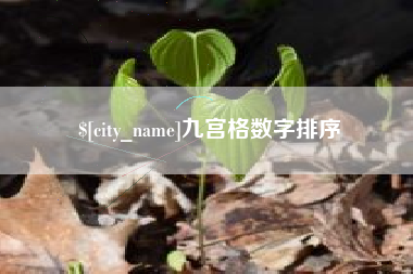 库尔勒九宫格数字排序