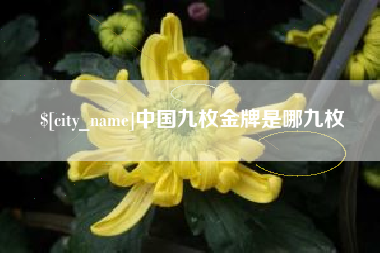库尔勒中国九枚金牌是哪九枚