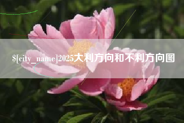 库尔勒2025大利方向和不利方向图