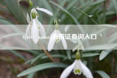 库尔勒消防证查询入口