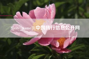 库尔勒1.中国执行信息公开网