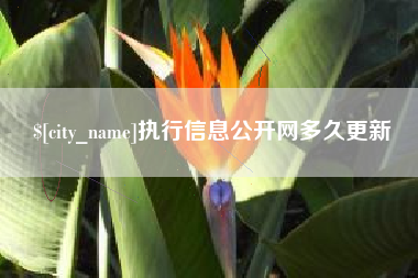 库尔勒执行信息公开网多久更新