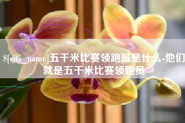 库尔勒五千米比赛领跑员是什么-他们就是五千米比赛领跑员