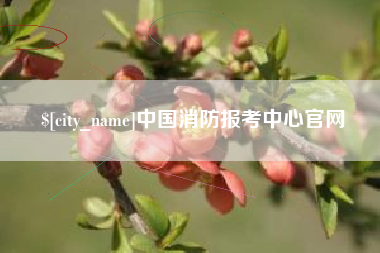 库尔勒中国消防报考中心官网