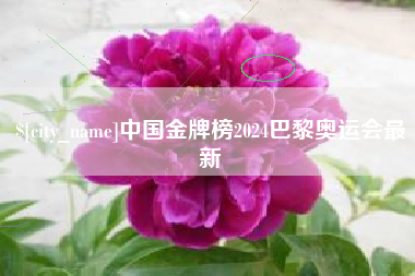 库尔勒中国金牌榜2024巴黎奥运会最新