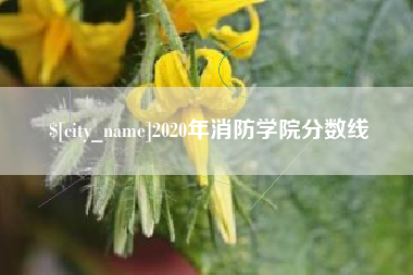 库尔勒2020年消防学院分数线