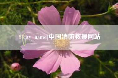 库尔勒中国消防救援网站