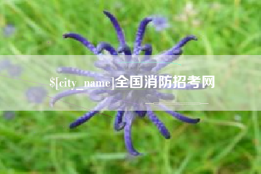 库尔勒全国消防招考网