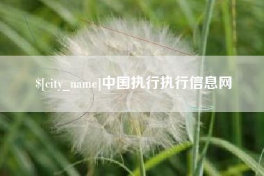 库尔勒中国执行执行信息网