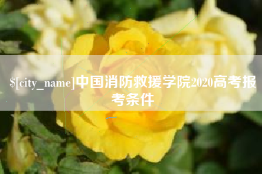 库尔勒中国消防救援学院2020高考报考条件