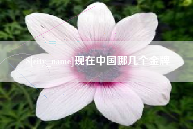 库尔勒现在中国哪几个金牌
